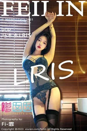 [FeiLin嗲囡囡]VOL.461_女神冯木木LRIS酒店场景灰色蕾丝情趣内衣配黑丝吊袜诱惑写真90P